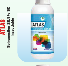 ATLAS
