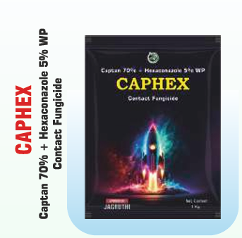 CAPHEX