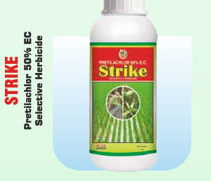STRIKE